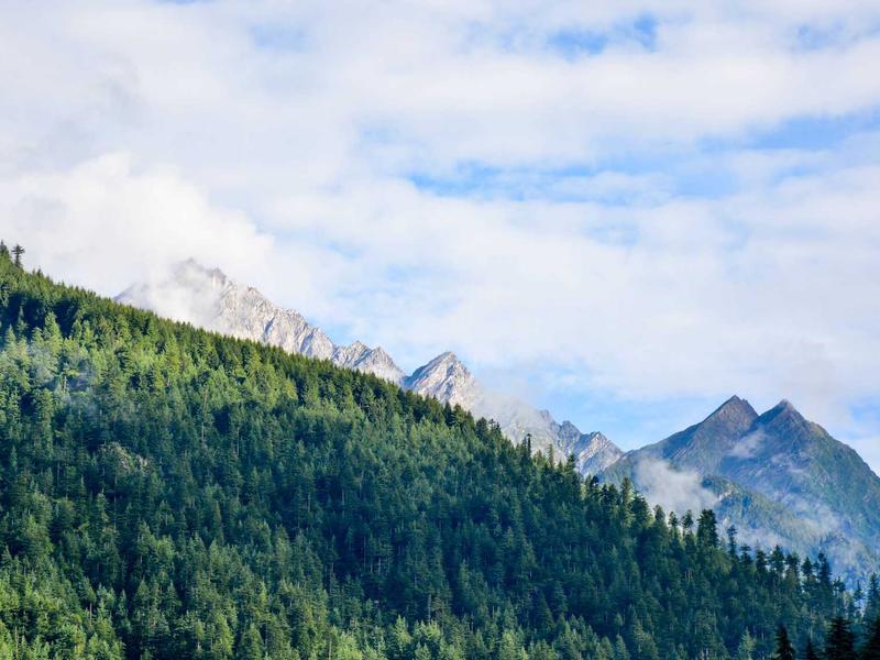 DevOps, Automation & Testing