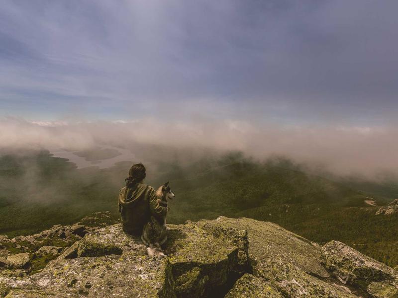 Cloud Computing & Infrastructure Services